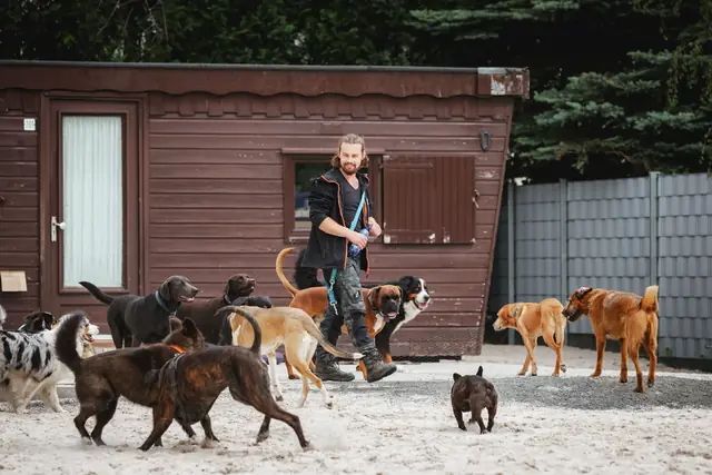 Lucas Becker vor der braunen Hütte, umgeben vom Rudel