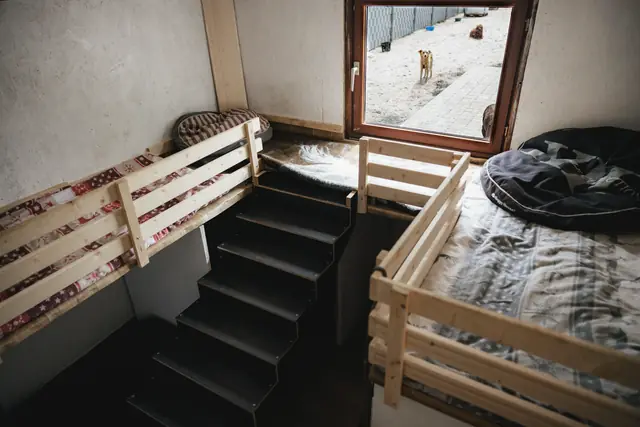 Ruheraum mit Hochbett, Treppe und Hundebetten